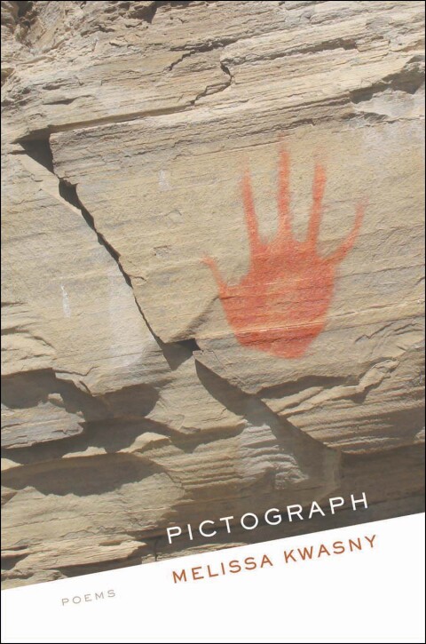 Cover image for book Pictograph