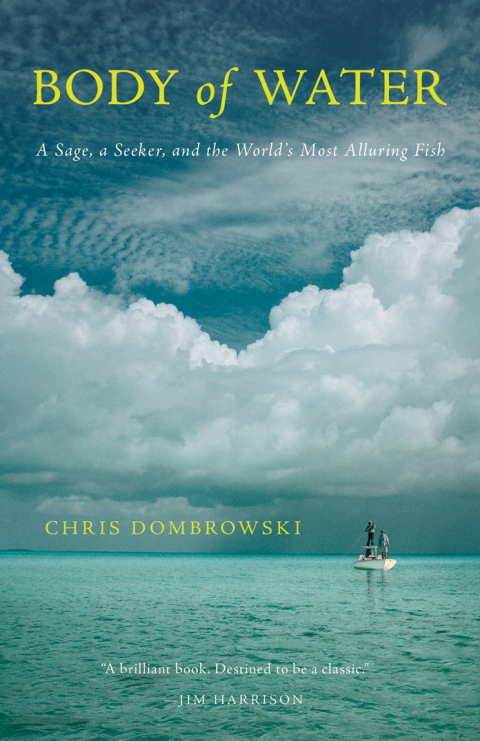 Cover image for book Body of Water