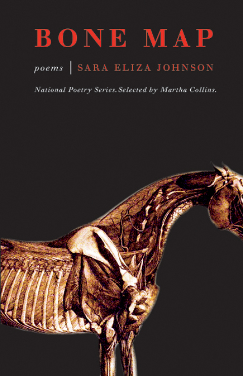 Cover image for book Bone Map