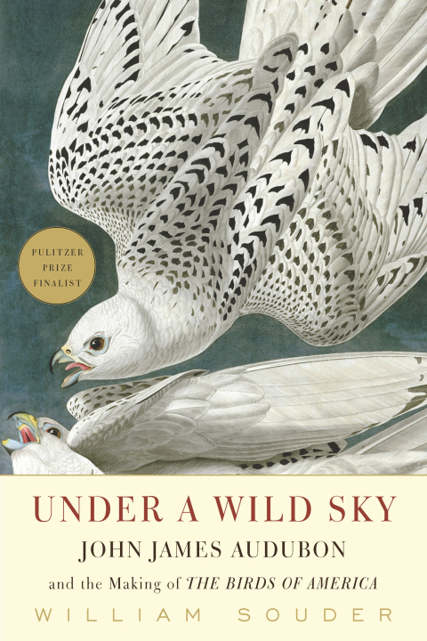 Cover image for book Under a Wild Sky