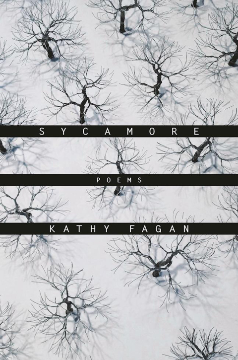 Cover image for book Sycamore