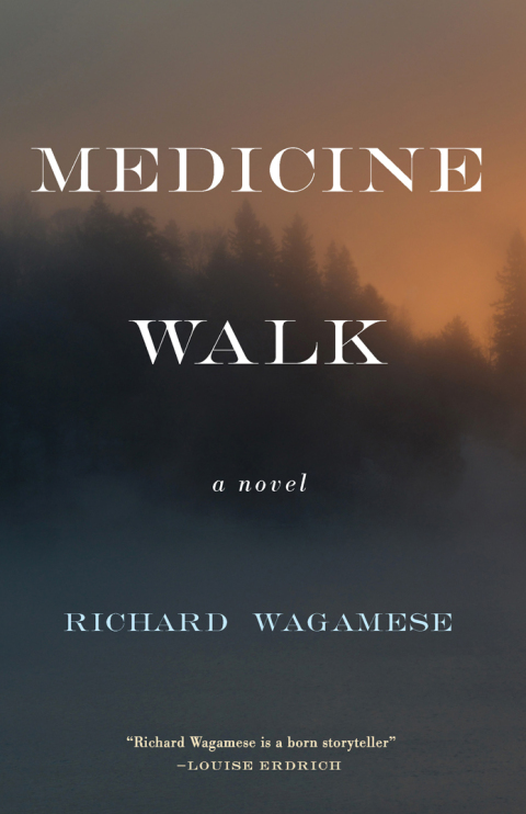 Cover image for book Medicine Walk