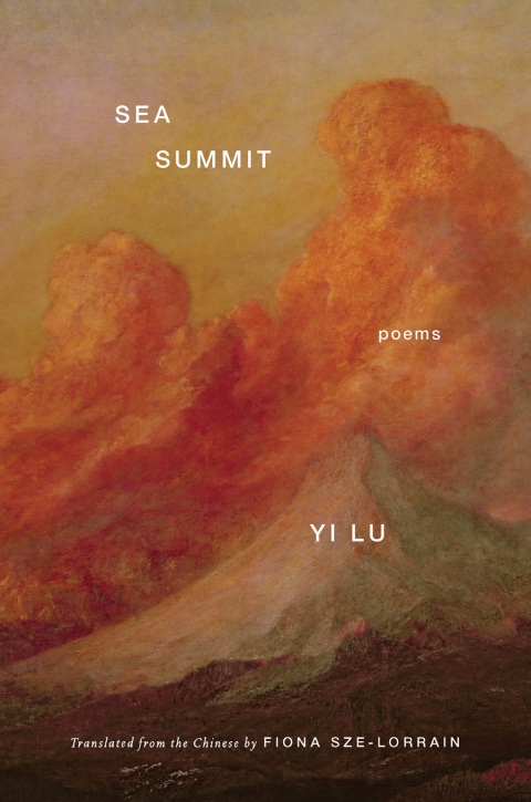 Cover image for book Sea Summit