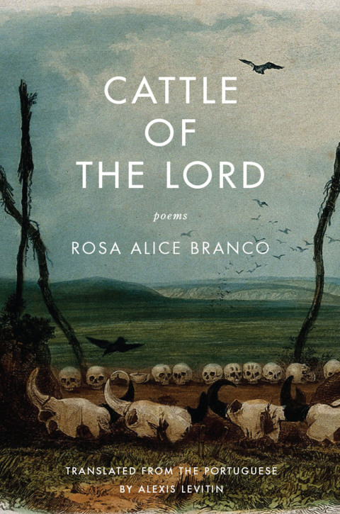 Cover image for book Cattle of the Lord