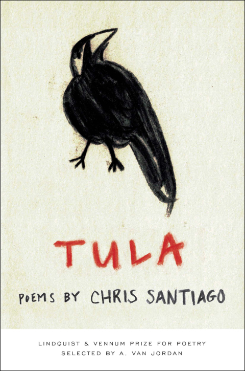 Cover image for book Tula