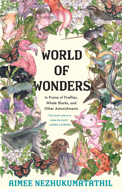 Cover image for book World of Wonders
