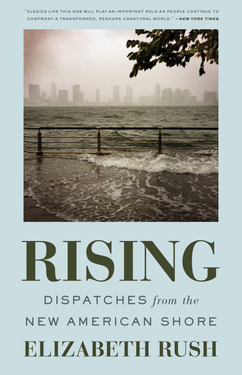 Cover image for book Rising