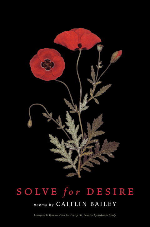 Cover image for book Solve for Desire