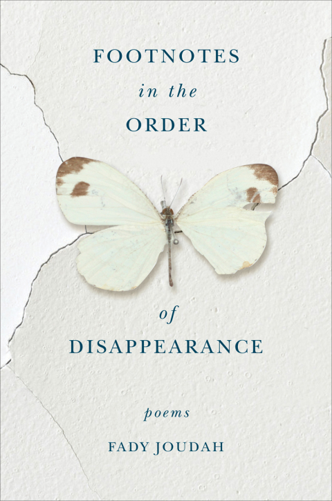 Cover image for book Footnotes in the Order of Disappearance