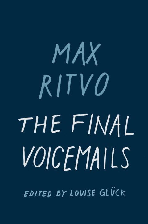 Cover image for book The Final Voicemails
