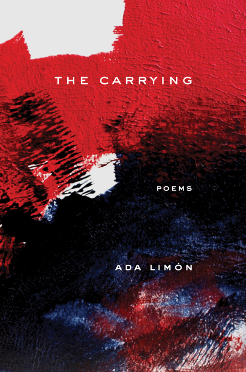 Cover image for book The Carrying