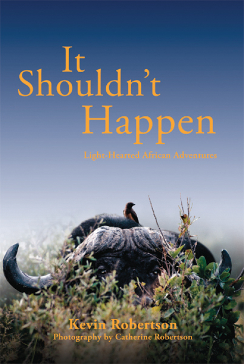 Cover image for book It Shouldn't Happen