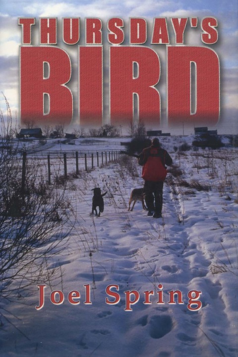 Cover image for book Thursday's Bird