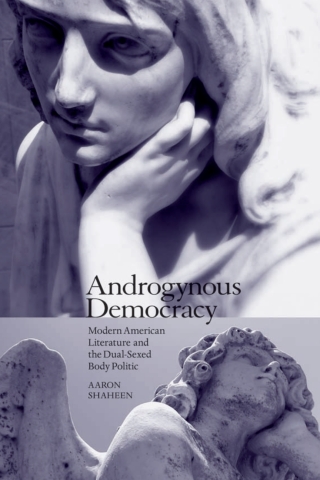 Androgynous Democracy