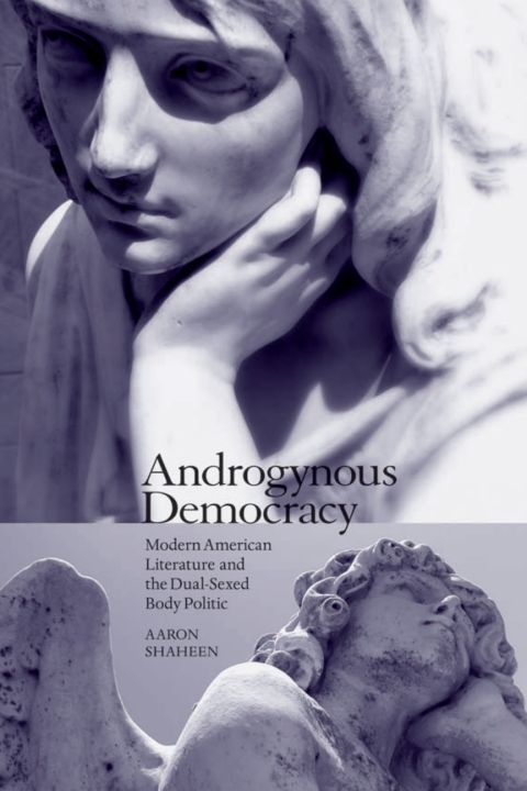 Cover image for book Androgynous Democracy
