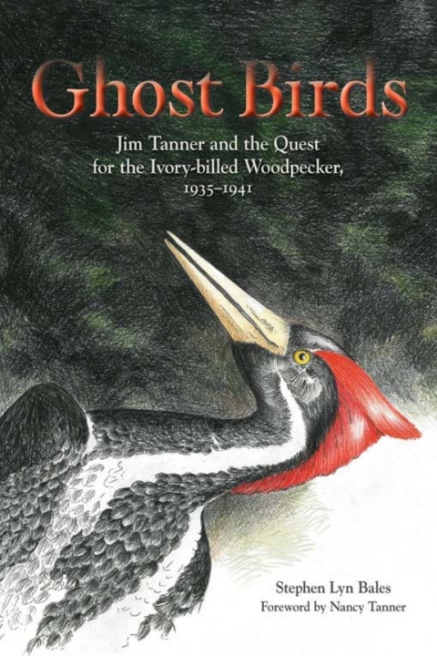 Cover image for book Ghost Birds