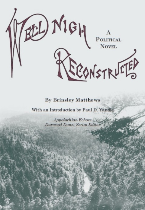Cover image for book Well-Nigh Reconstructed