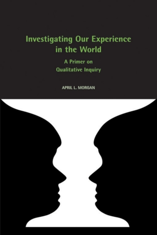 Investigating Our Experience in the World