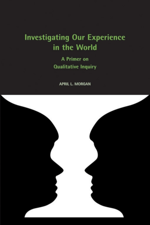 Cover image for book Investigating Our Experience in the World