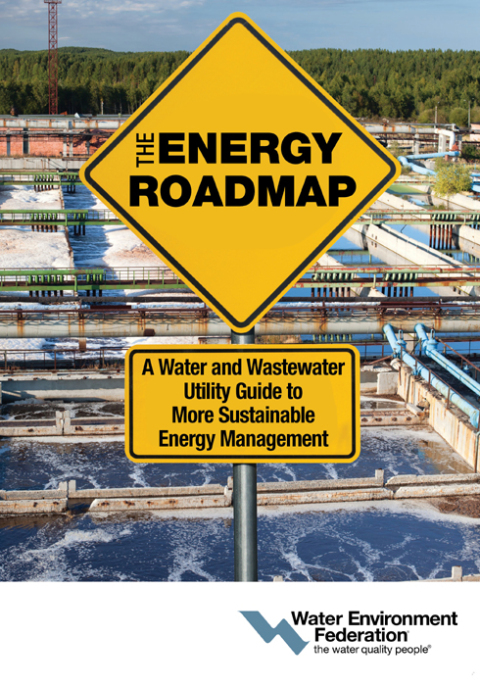 Cover image for book The Energy Roadmap