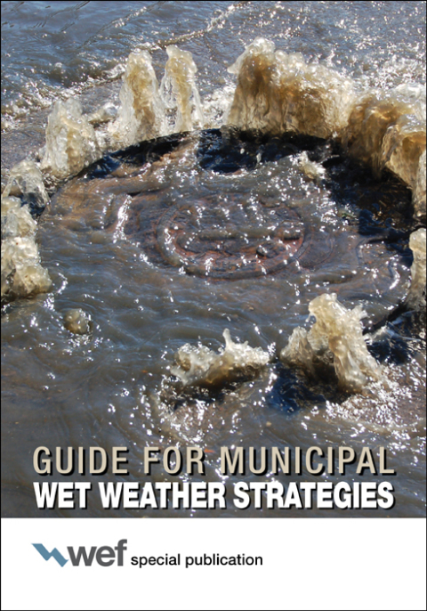 Cover image for book Guide for Municipal Wet Weather Strategies