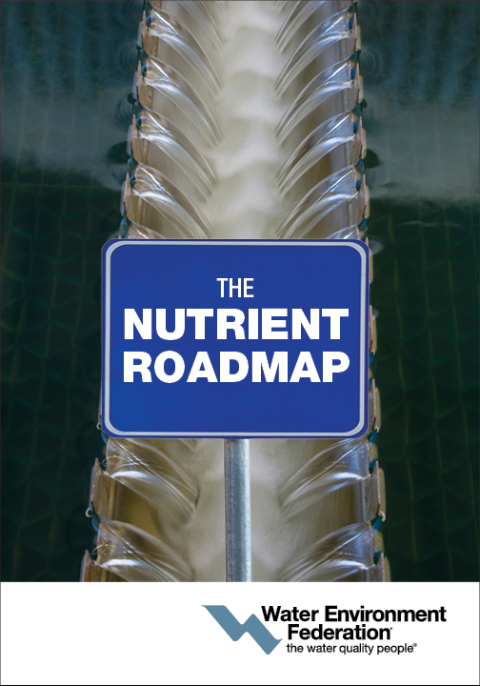 Cover image for book The Nutrient Roadmap