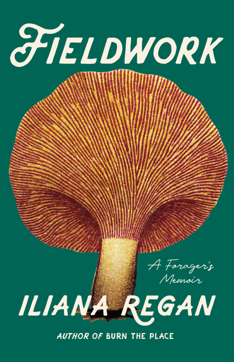 Cover image for book Fieldwork