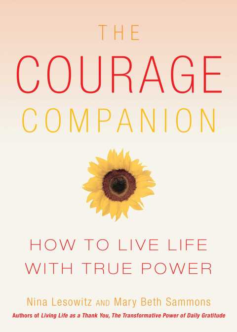 Cover image for book The Courage Companion