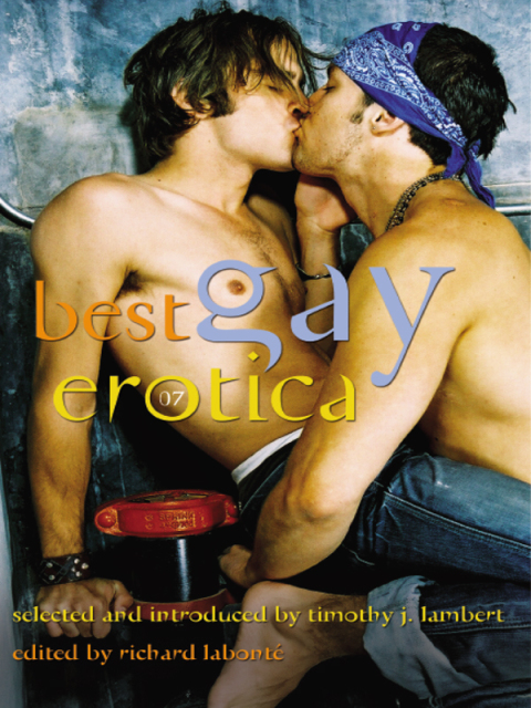 Cover image for book Best Gay Erotica 2007