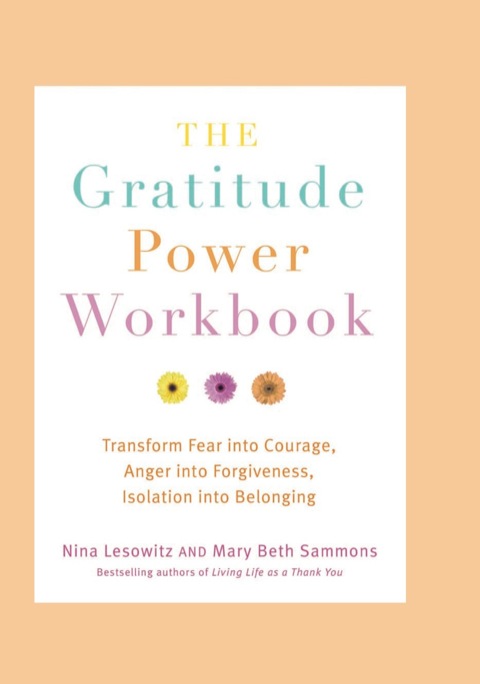 Cover image for book The Gratitude Power Workbook