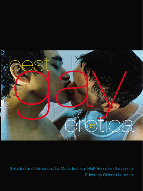 Cover image for book Best Gay Erotica 2006