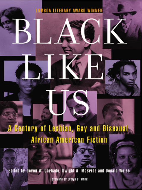 Cover image for book Black Like Us