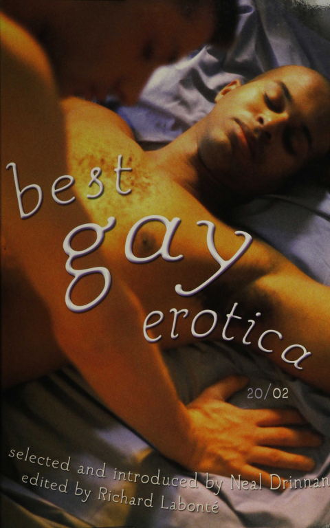 Cover image for book Best Gay Erotica 2002