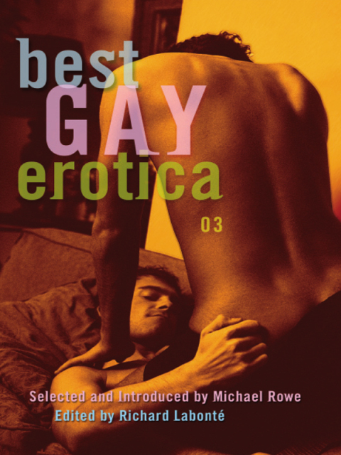Cover image for book Best Gay Erotica 2003