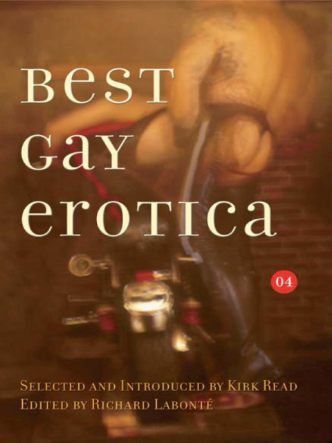 Cover image for book Best Gay Erotica 2004