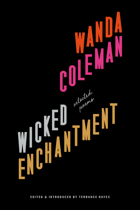 Cover image for book Wicked Enchantment