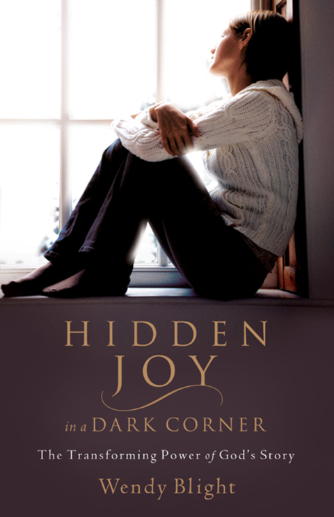 Cover image for book Hidden Joy in a Dark Corner: The Transforming Power of God's Story