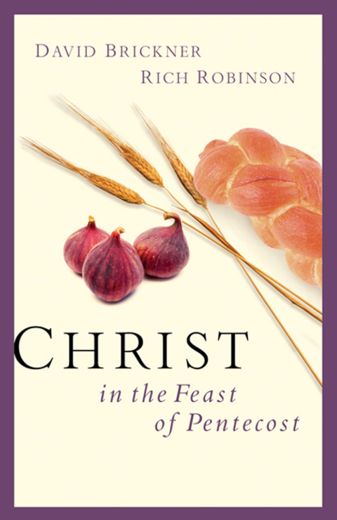 Cover image for book Christ in the Feast of Pentecost