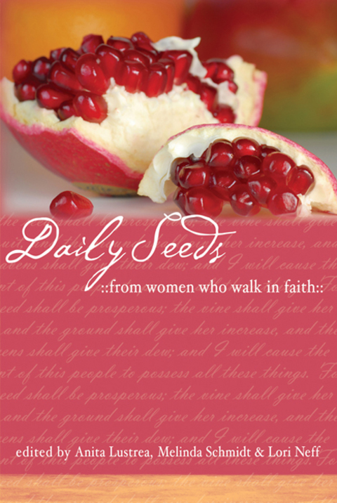 Cover image for book Daily Seeds From Women Who Walk in Faith
