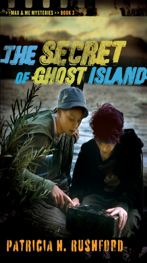 Cover image for book The Secrets of Ghost Island