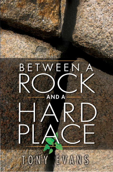 Cover image for book Between a Rock and a Hard Place