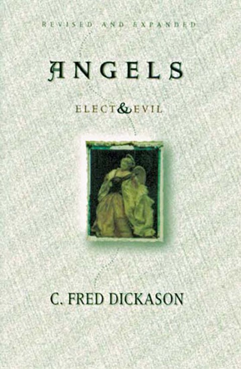 Cover image for book Angels Elect and Evil