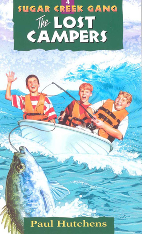Cover image for book The Lost Campers