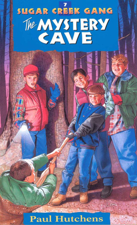 Cover image for book The Mystery Cave