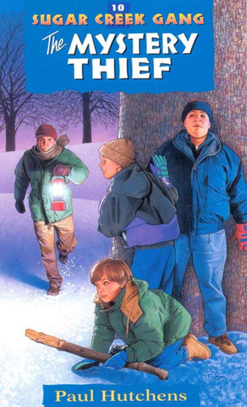 Cover image for book The Mystery Thief