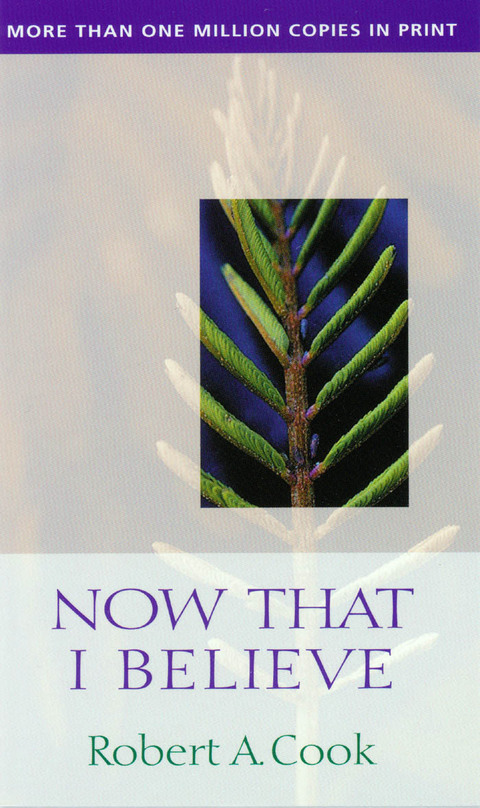 Cover image for book Now That I Believe