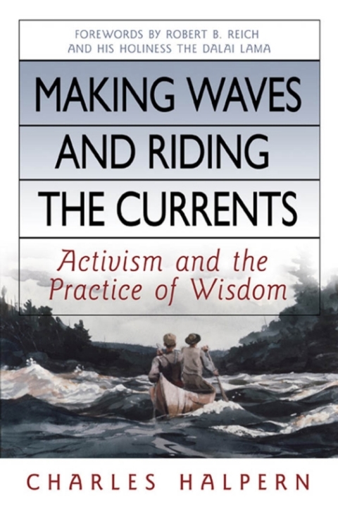 Cover image for book Making Waves and Riding the Currents