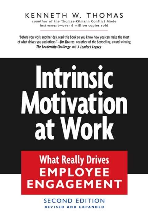 Cover image for book Intrinsic Motivation at Work