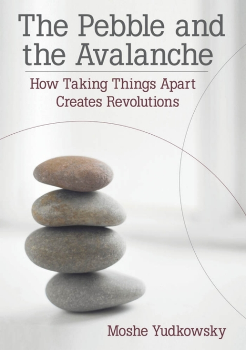 Cover image for book The Pebble and the Avalanche