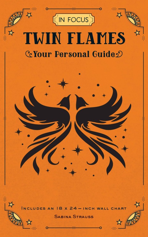 Cover image for book In Focus Twin Flames